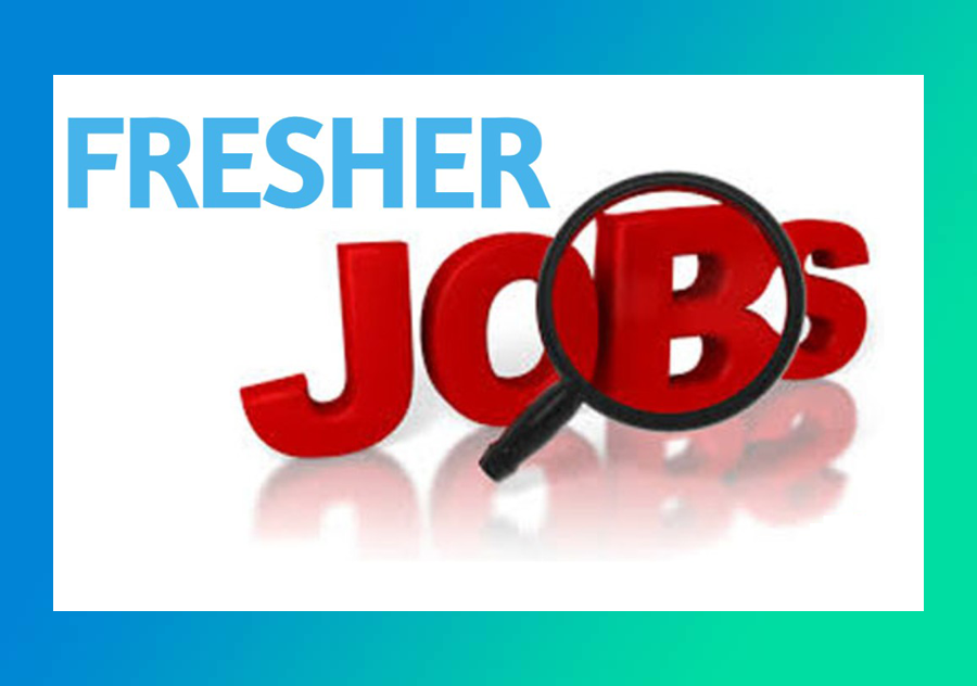 MADSmania Freshers Jobs